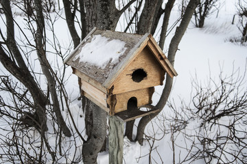 Birdhouse
