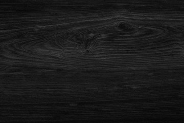 Naklejka premium texture of bark, wood grain background