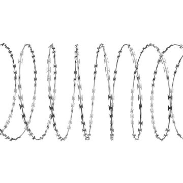 Coil of Steel Barbed Wire