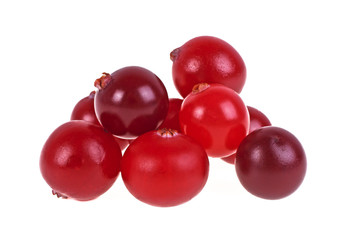 Cranberry. Fresh raw berries isolated on white background.
