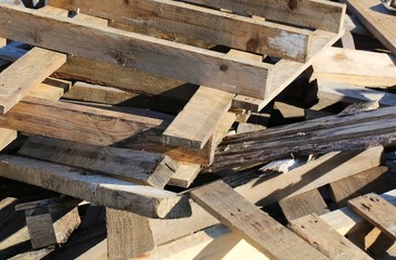 wooden pallets in a woody material landfill