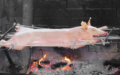 fat pig while it is cooked in the great outdoors spit
