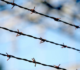 three barbed wire lines and blurred background