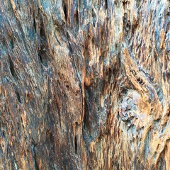 Vintage wood Old surface Wood texture Natural background Nature Design Interior