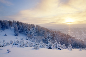 Winter sunset snow field on top of mountain on the background of taiga forest and hills