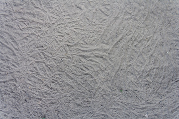 Ground squiggly lines.