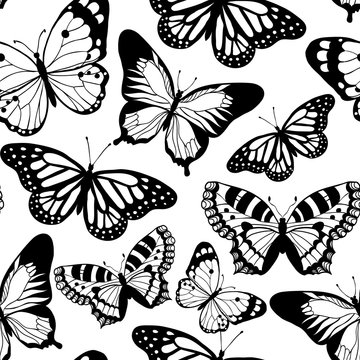 Beautiful butterfly. Vector seamless pattern