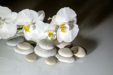 Naklejka na ściany i meble flat stones on a white glass on the background of white orchids