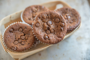 Schokoladenmuffins 