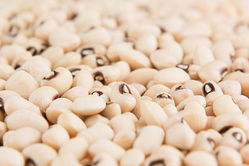 White kidney beans black eye macro background. Healthy protein food.
