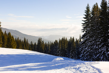 fantastic Winter panorama of the Alps