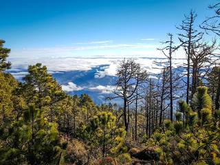 View from Acatenango volcano ,Guatemala