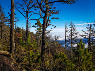 View from Acatenango volcano ,Guatemala