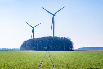 Windturbine in a little forest