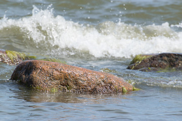Stones in water on the seashore