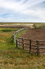 Fence in a Danish landscapes in the summer