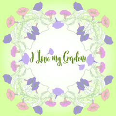 Garden Background with  bindweed  flowers