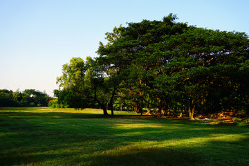 Wachirabenchathat Park or State Railway Public Park is a name of public park in Chatuchak district, Bangkok, Thailand.