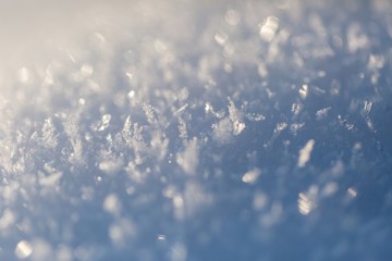 Snow crystals in big close up