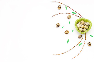 quail eggs in a green basket and willow twigs on white background.