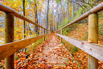 old wooden footbridge