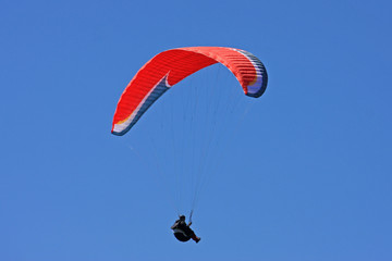 Paraglider