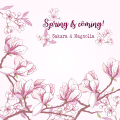 Spring Sakura and Magnolia Background