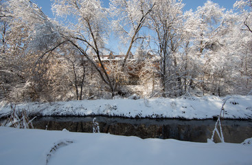 winter river in the forest