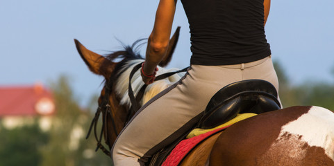 Młoda kobieta jedzie na koniu, widok od tyłu.  - obrazy, fototapety, plakaty