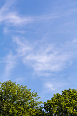 fluffy clouds