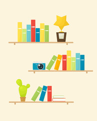 Obraz premium Wooden bookshelves with colorful books