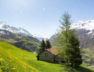 Andermatt, pastures and mountains