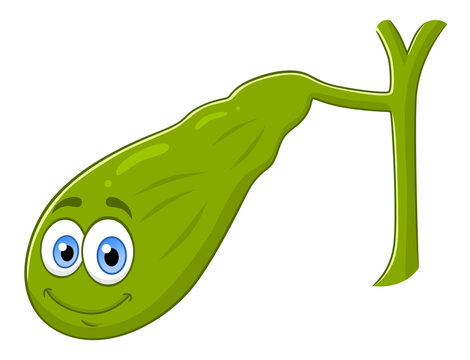 Cartoon Gallbladder