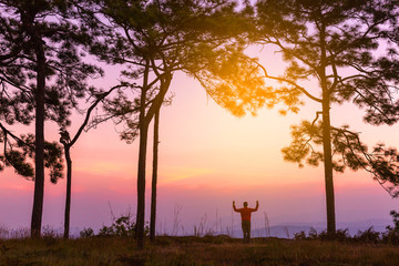 Silhouette of young man on sunset or sunrise in pine forest. Con