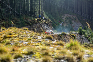 Wales Rally GB 2015 Myherin