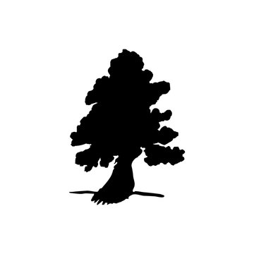 Vector silhouette of bonsai tree.