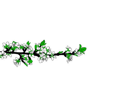 illustration of a blooming branch isolated on white