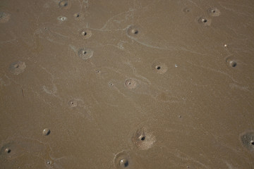 plaża detal - wzory na piasku