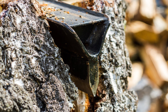 Holzspalter bei der Arbeit