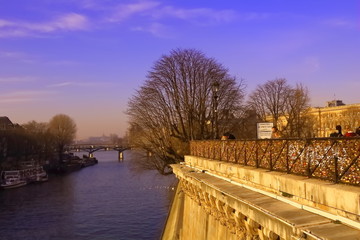 Fototapeta na wymiar Paysage de la Seine, Paris, france