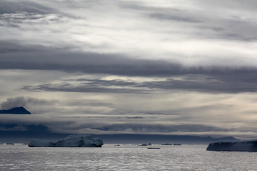 Naklejka na ściany i meble Icebergs, Greenland