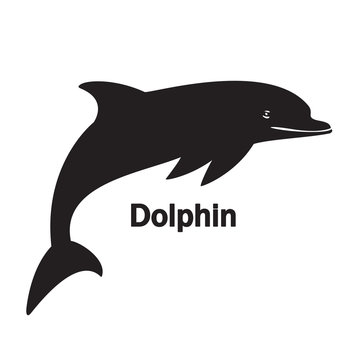 silhouette dolphin on the white background black text