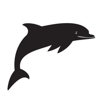 silhouette dolphin on the white background black