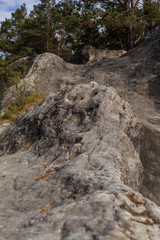 Teufelsmauer bei Blankenburg im Harz