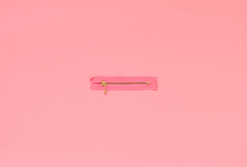Pink zipper on a pink background. Flat lay concept, top view.