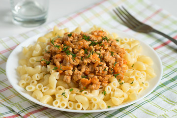 Macaroni with meat on a white plate