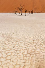 Photo sur Plexiglas Sécheresse Le paysage désertique