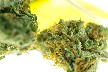 Cannabis im Tütchen / Close-Up
