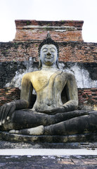 Historical Park Wat Mahathat temple bhudda statue vertical