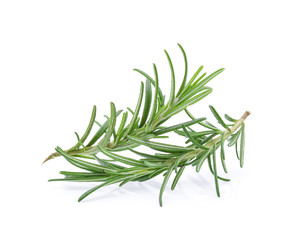 rosemary isolated on white background
